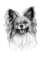Custom Pencil Sketch From Your Photos, Custom Sketches-1